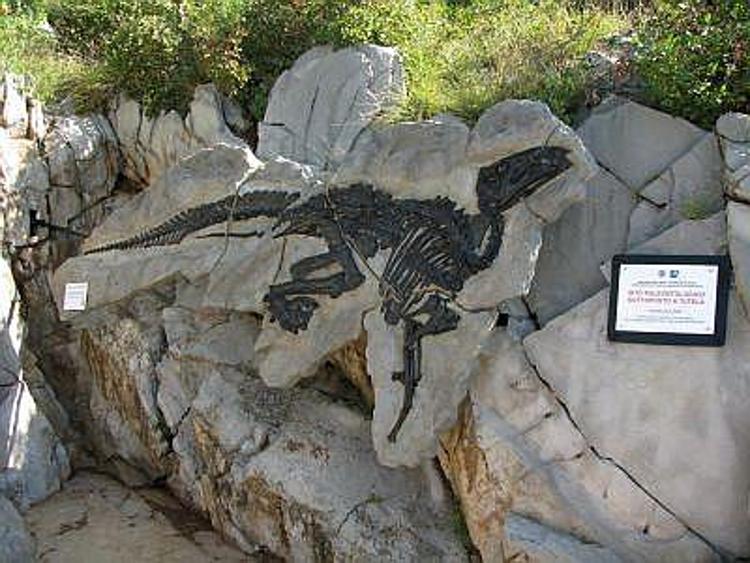 Arriva in Italia 'Laura', il più grande adrosauro mai rinvenuto