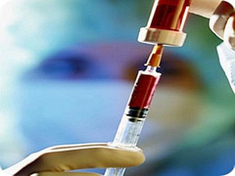 Staminali: sangue da 'cellule bambine' entro 3 anni testato sui pazienti