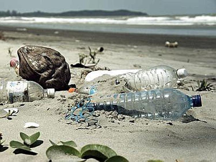 Rifiuti spiaggiati in Veneto, plastica e polistirolo le prime emergenze