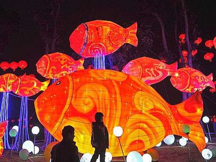 Elefanti, pesci e fiori: colori mozzafiato in Cina per la Festa delle Lanterne / Foto