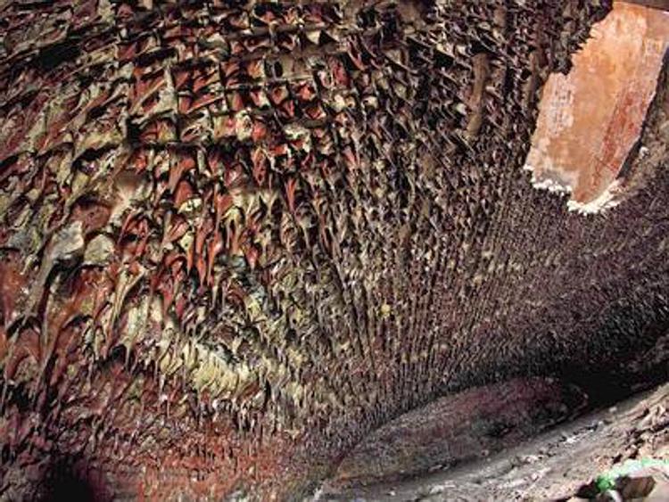 Caverne e stalattiti, quel mistero dentro la fortezza russa di Zverev