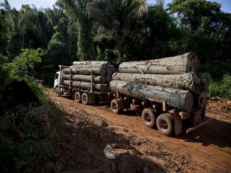 A truck loaded with timber on the Curuá-Una road after crossing the River of the same name, near Santarém, Pará State.