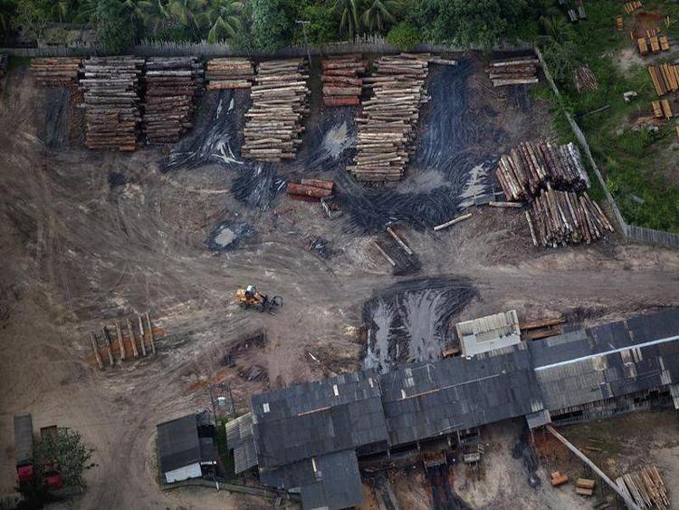 Sawmill in the municipality of Uruará, Pará State. - © Marizilda Cruppe / Greenpeace