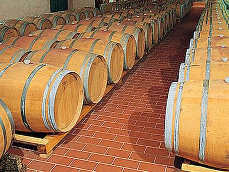 Da Regione 2,3 milioni a Pmi per produzione e commercio vino
