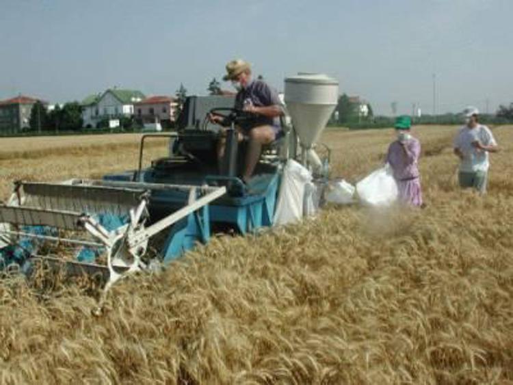 Emilia-Romagna: 5,4 mln euro per innovazione agricoltura