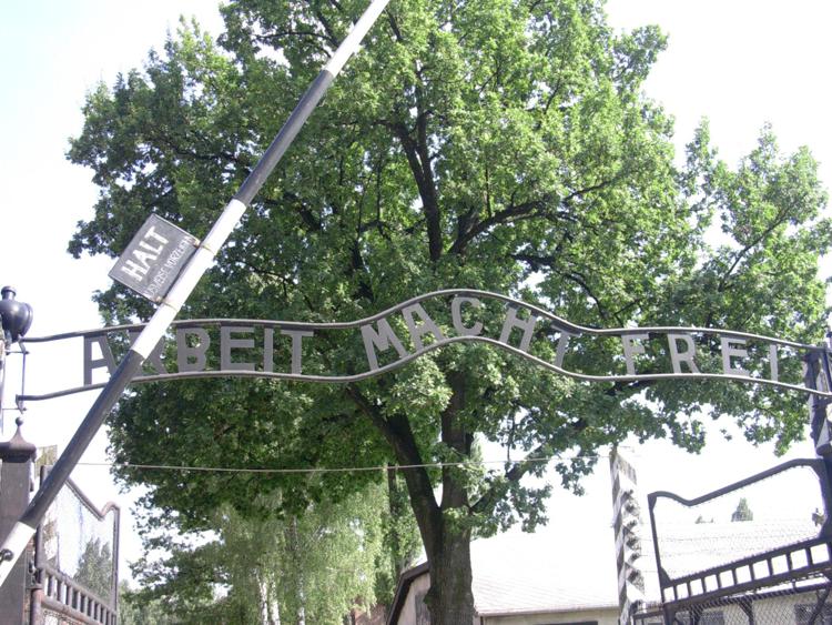 Docce anti-caldo ad Auschwitz, lo choc dei turisti israeliani