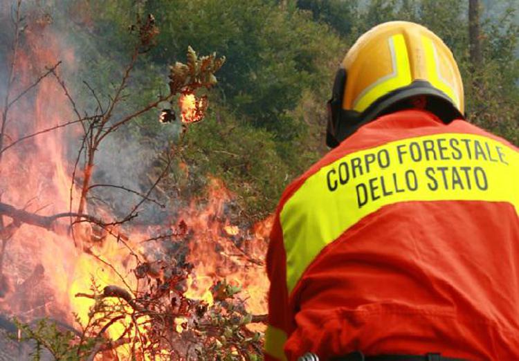 Incendi: ieri 49 roghi, Calabria e Campania le regioni piu' colpite