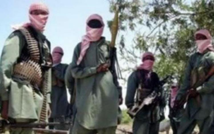 Miliziani di Boko Haram 
