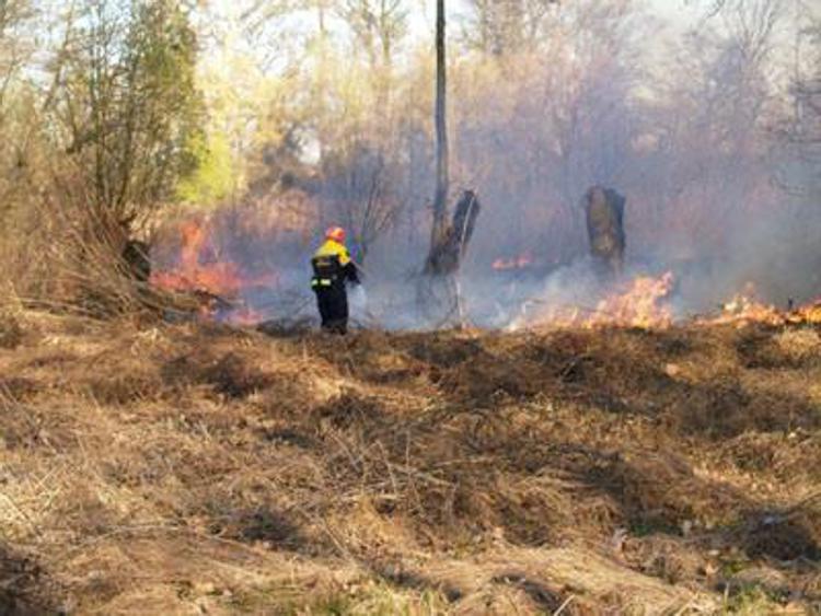 Incendi: a fuoco 9 ettari canneto nel foggiano
