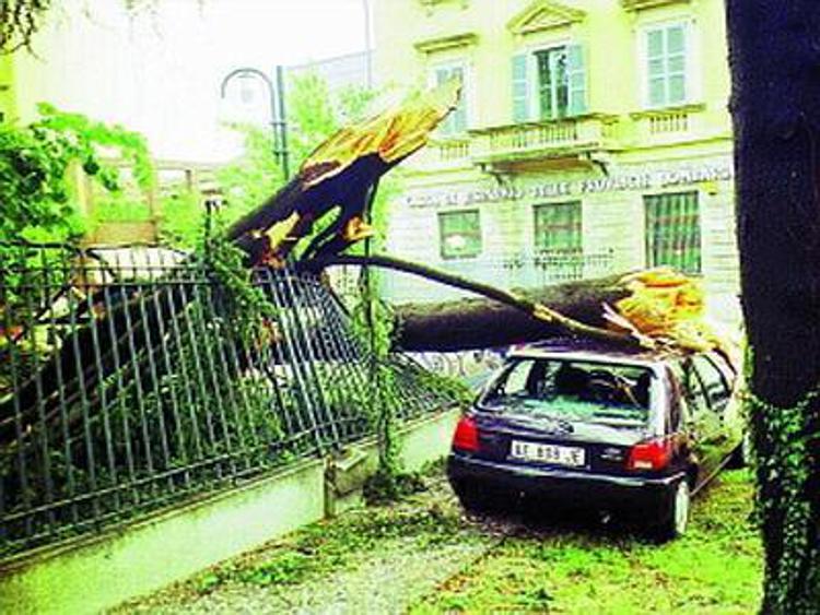 Maltempo, violento temporale a Udine: alberi caduti e strade allagate