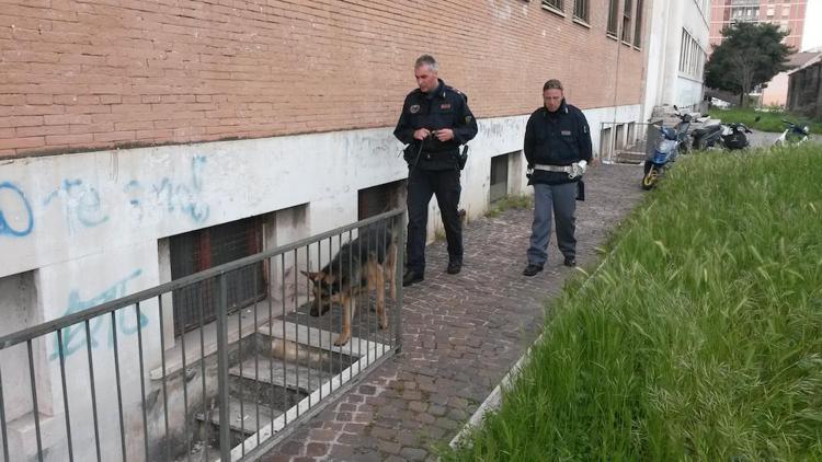 Roma: 2 kg di droga trovati in baracca a San Basilio