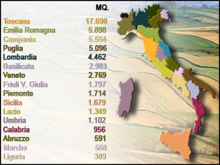 Agricoltura: giovani a 'caccia' di 'terrevive', più terreni in Toscana