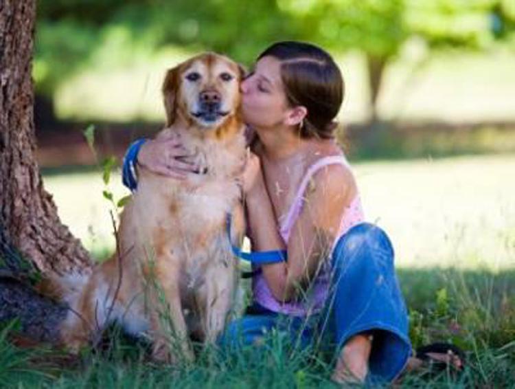 Animali: anche i cani sono gelosi, studio lo conferma