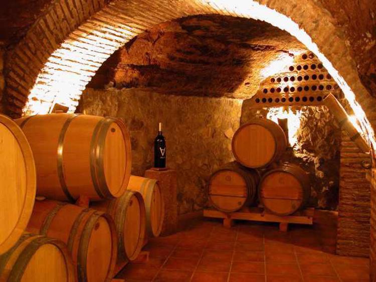Agricoltura, la Regione Lazio finanzia 7 progetti per promozione vino