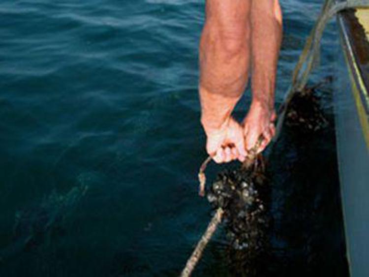 Pesca: con ittiturismo per conoscere mestieri e segreti del mare