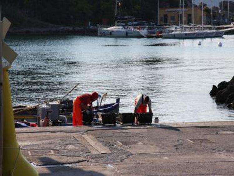Pesca: Lega Pesca, in Europa creati 8 mila nuovi posti di lavoro