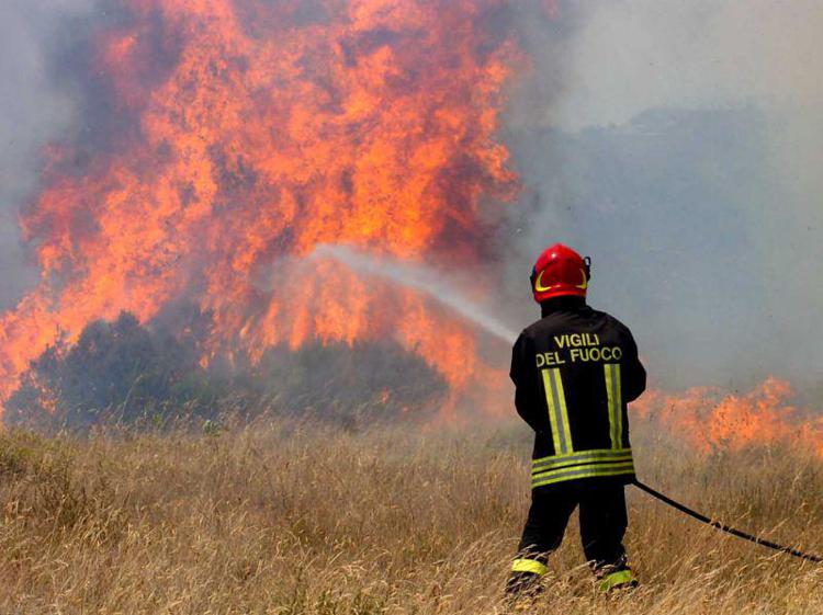 Incendi: a fuoco area boschiva nel bolognese