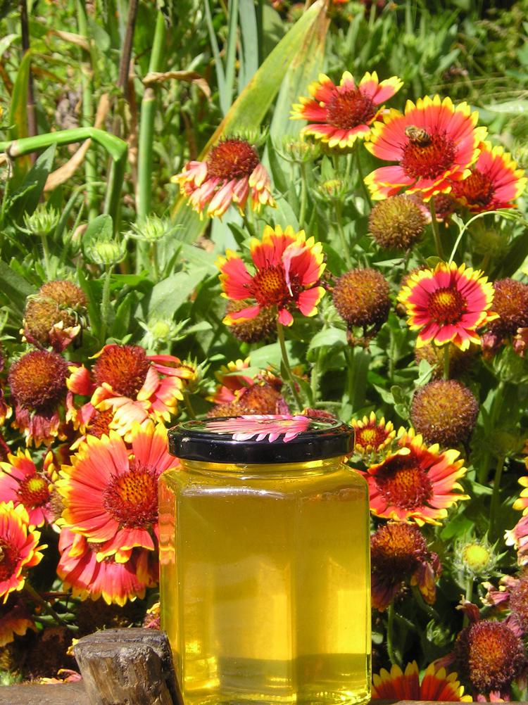 Made in Italy: Conapi, miele agli apicoltori con accordo Mielizia