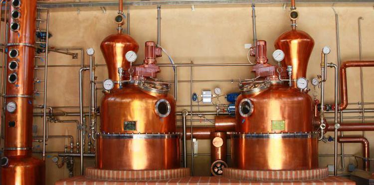 Enogastronomia: 31 distillerie pronte per 'Grapperie aperte'