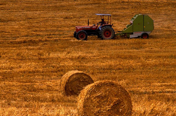 Agricoltura: Martina lancia piano 2 mld,  spingere imprese nel futuro