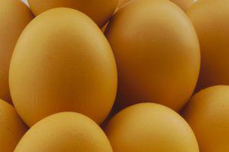 Consumi bio al top (+17,3%), sono le uova il prodotto più acquistato