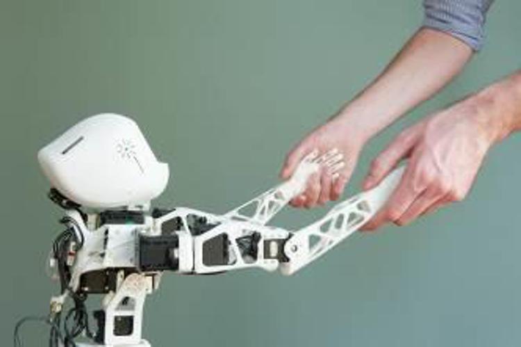 Poppy, il primo robot stampato in 3D