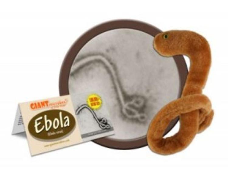Ebola: scoppia la peluche-mania, tutto esaurito per virus giocattolo