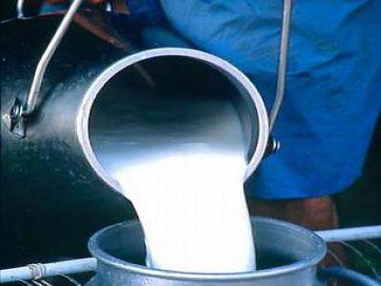 Alimenti: latte, un tesoro contro l'amianto e per produrre energia