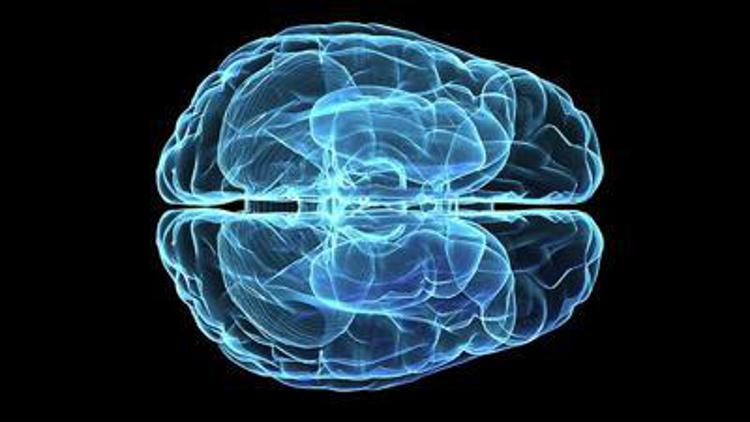 Una nuova tecnica studia i circuiti della memoria, speranze contro le demenze