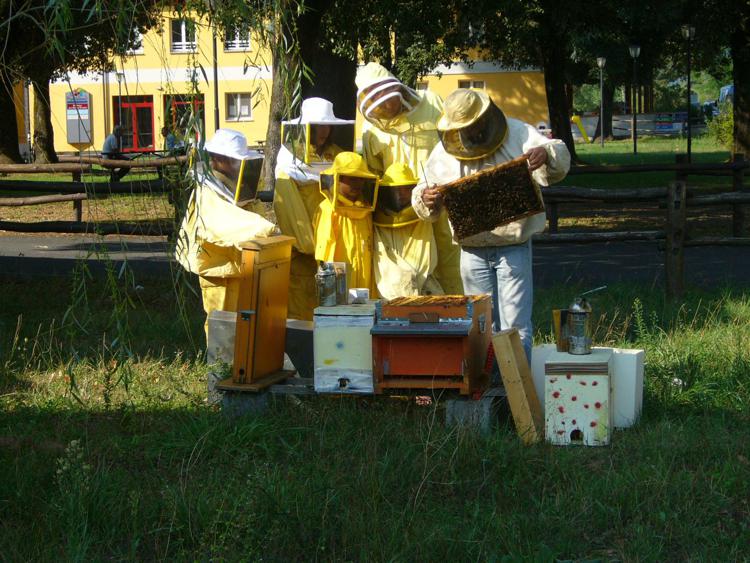 Ambiente: Oscar Green, arrivano api sentinelle in Terra fuochi