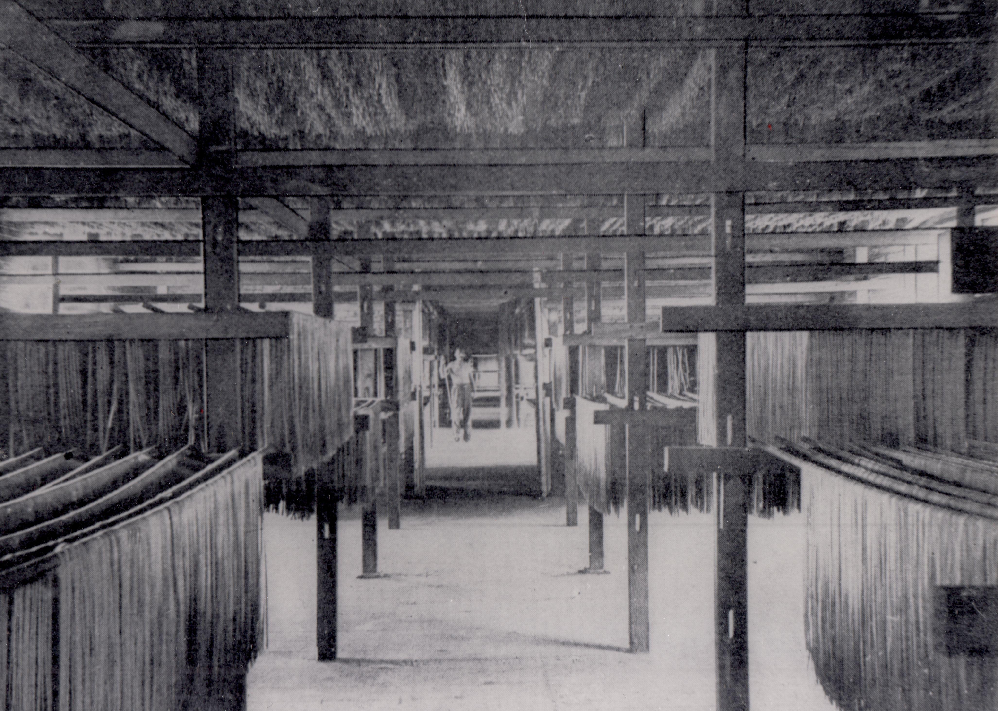 Photo Courtesy Center for Migration Studies, 1905 Spaghetti Drying in Ernesto Bisi's Maccaroni Factory in Carnegie, PA