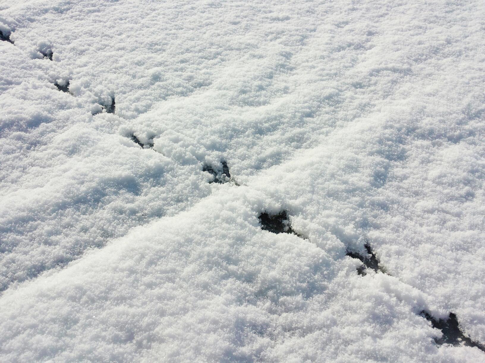 Neve in Salento (AdnKronos)