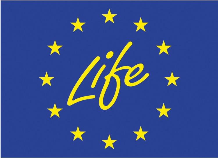 Ambiente: sarà Mwh a valutare le candidature al programma Ue 'Life'
