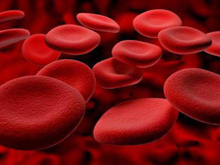 Medicina: l'indagine, 1 sanguinamento ogni 15 secondi per emofilia nel mondo