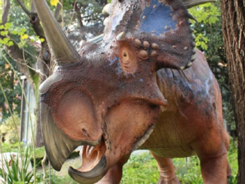 Styracosaurus - Foto di A.Giamborino