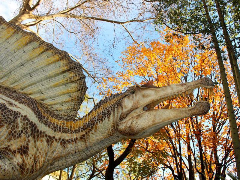 Spinosaurus - Foto di A.Giamborino