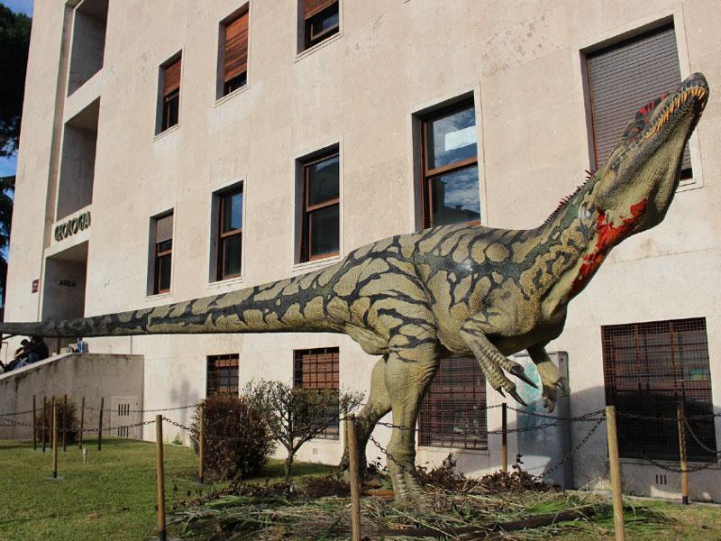 Allosaurus - Foto di A.Giamborino