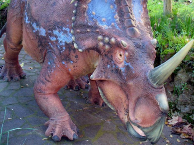 Styracosaurus - Foto di S.Magnuco
