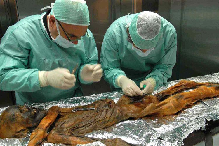 Oetzi, la mummia del Similaun (foto Infophoto) - INFOPHOTO