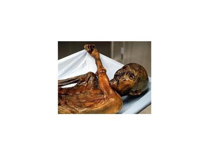 Nella foto, il corpo di Ötzi