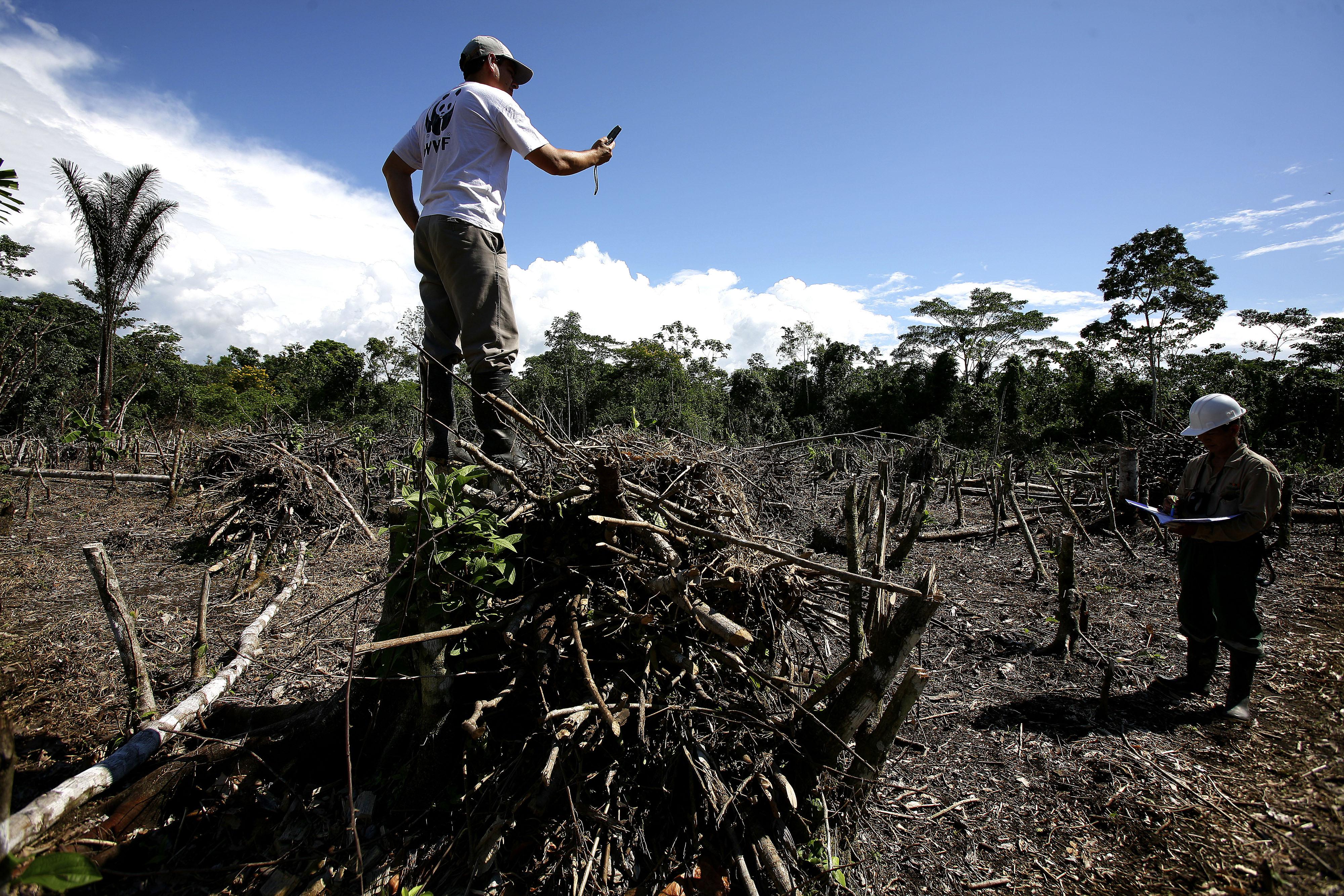 Rilevamenti Gps della deforestazione nell'Amazzonia peruviana (Wwf Peru) 