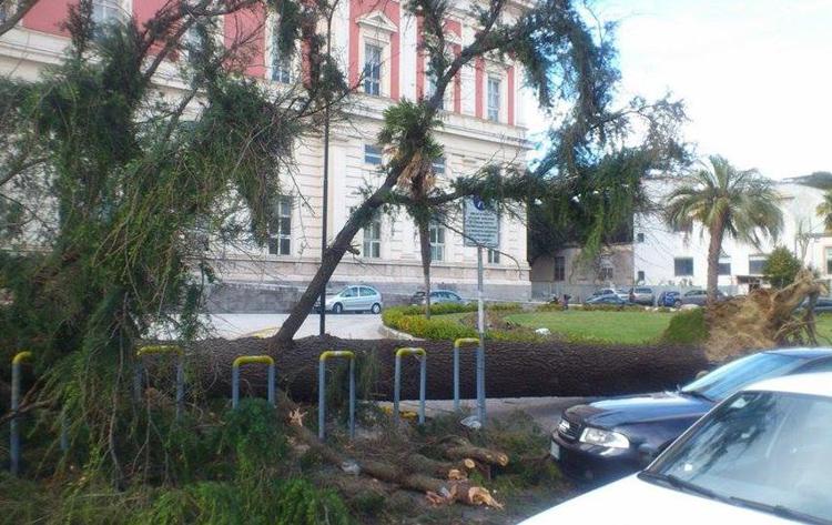 Maltempo: Napoli, alberi caduti al Cardarelli e al tribunale dei minorenni