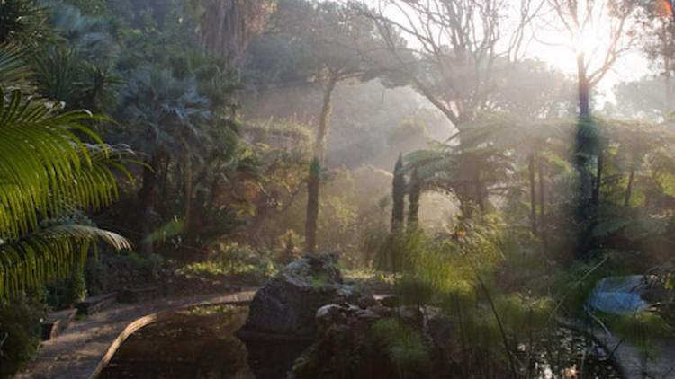 Riaprono ad Ischia fino a novembre i giardini “La Mortella”, creati nel 1959 da Susana Walton
