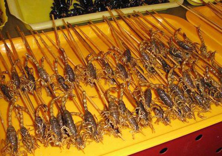 Scorpioni in vendita al mercato notturno di Donghuamen, Pechino - (foto AdnKronos Salute)