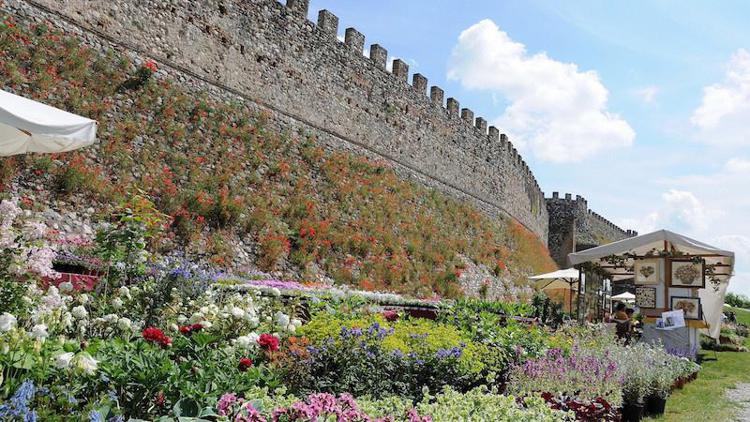 “Fiori nella Rocca”, a Lonato del Garda la mostra - mercato di piante rare