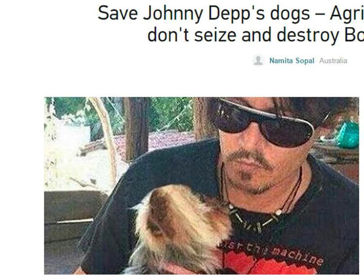 La petizione su Change.org per salvare i cani di Johnny Depp
