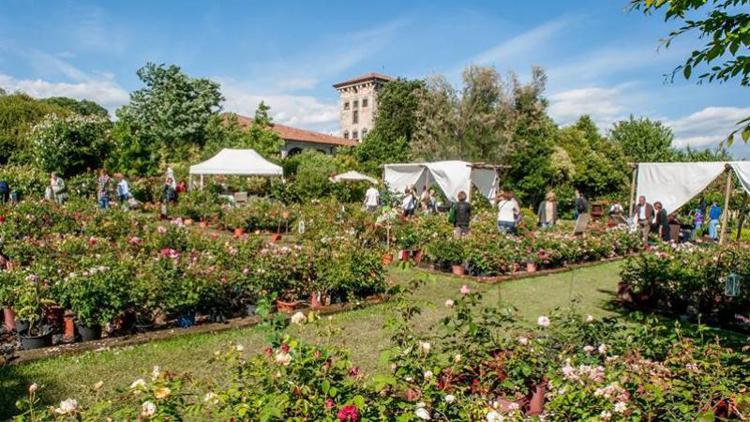“Giardinaria”, la mostra di piante e fiori nel parco di Castello Quistini