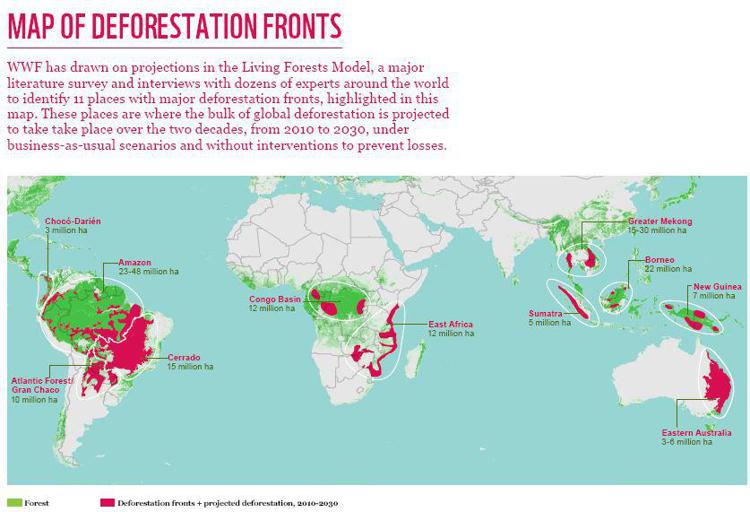 Ambiente: deforestazione amplia l'effetto catastrofi