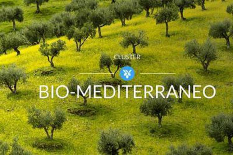 Expo: finale di Champions sabato su maxi schermo cluster Bio Mediterraneo