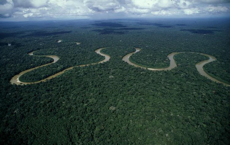 Ambiente: nelle foreste serbatoio di carbonio da 800 mld tonn/Focus